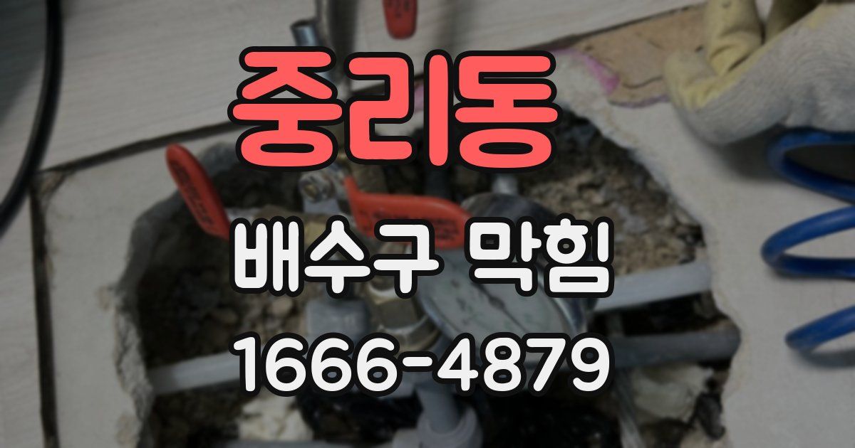중리동 배수구 막힘