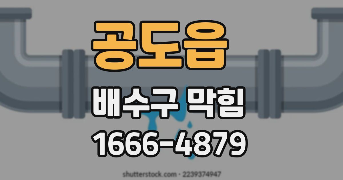 공도읍 배수구 막힘