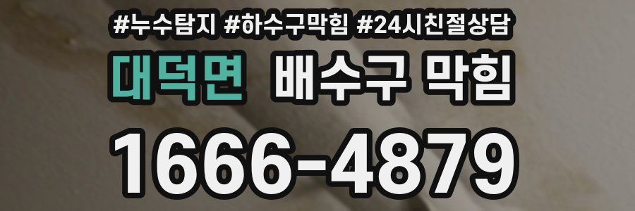 대덕면 배수구 막힘