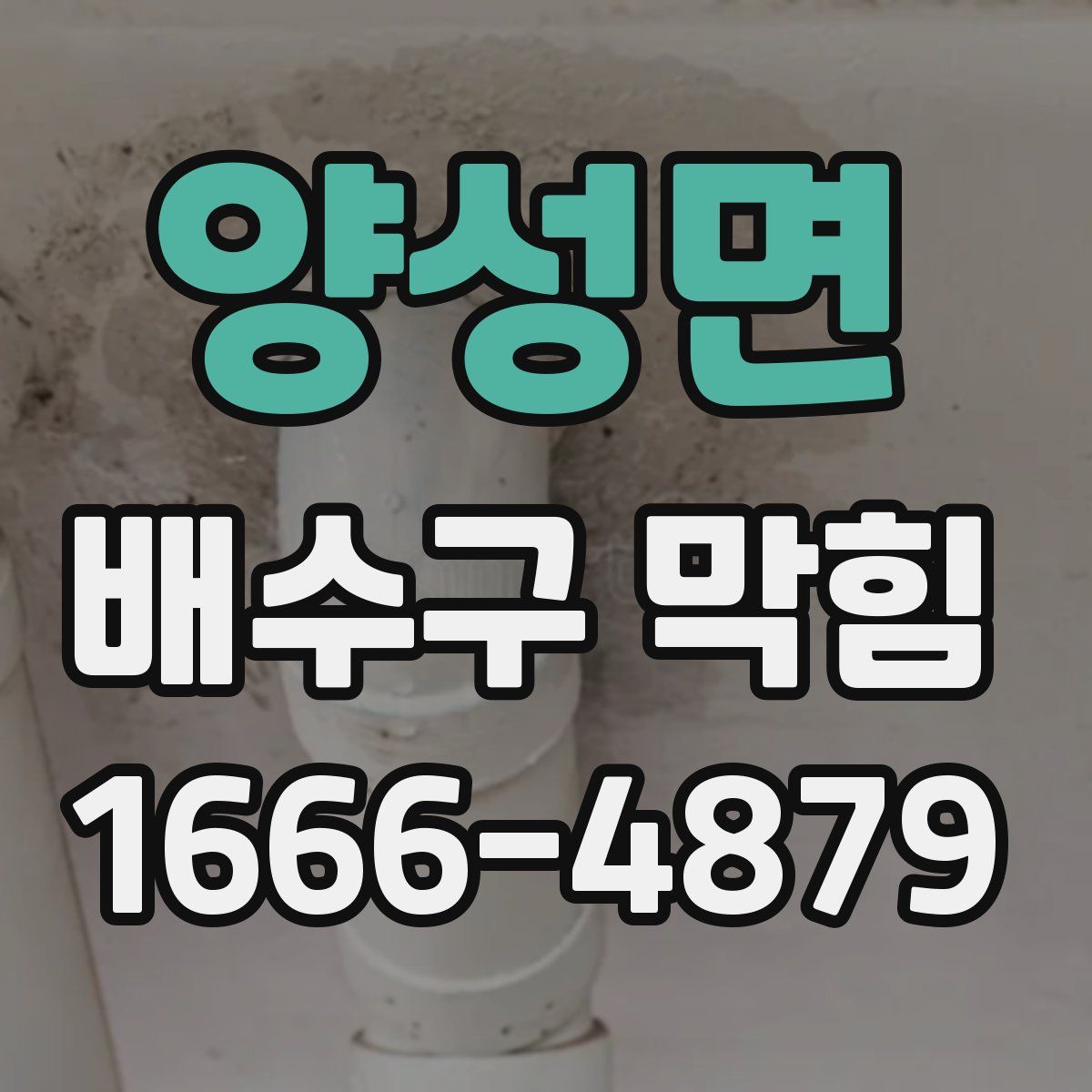 양성면 배수구 막힘