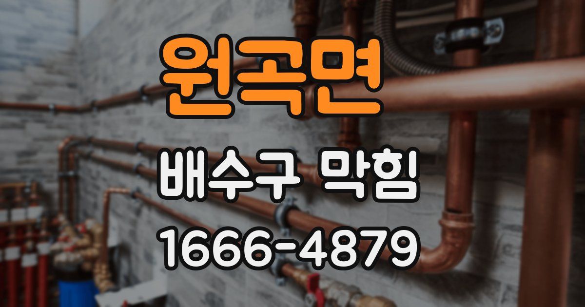원곡면 배수구 막힘