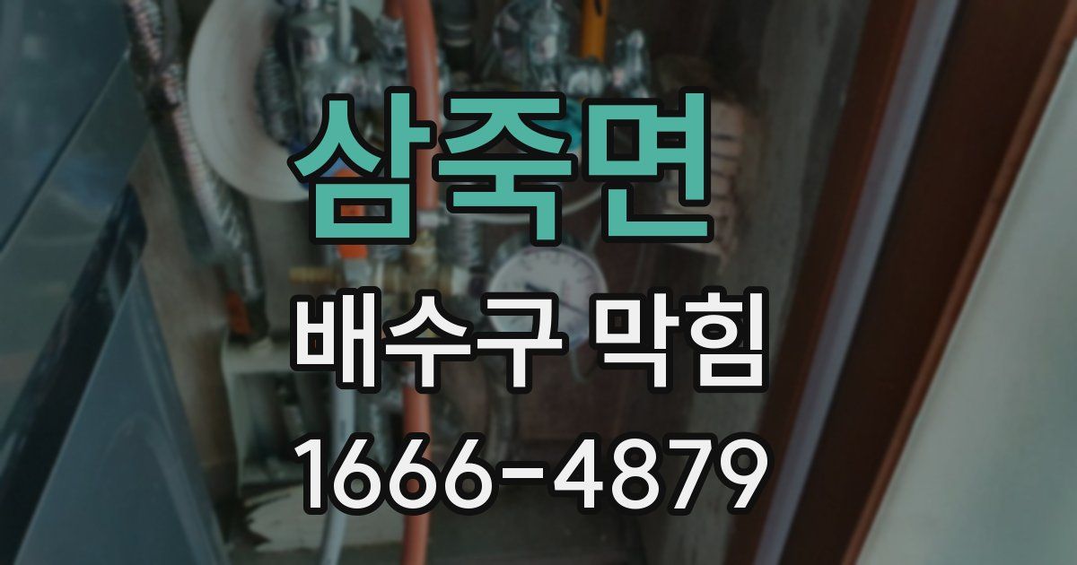 삼죽면 배수구 막힘