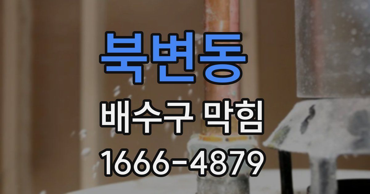 북변동 배수구 막힘