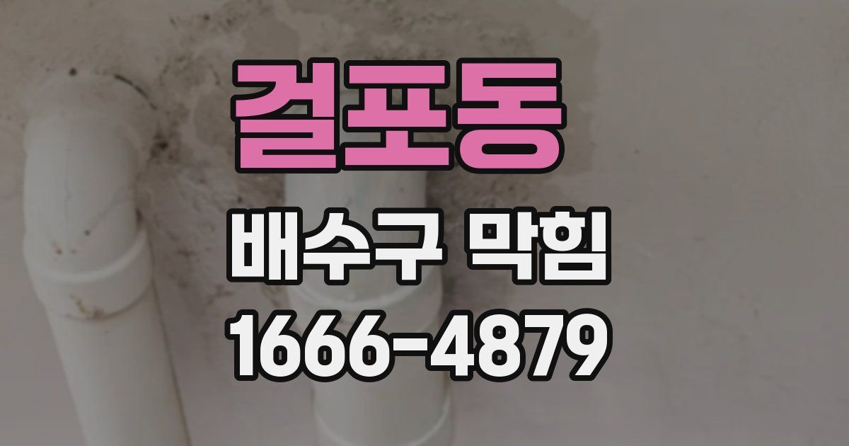 걸포동 배수구 막힘