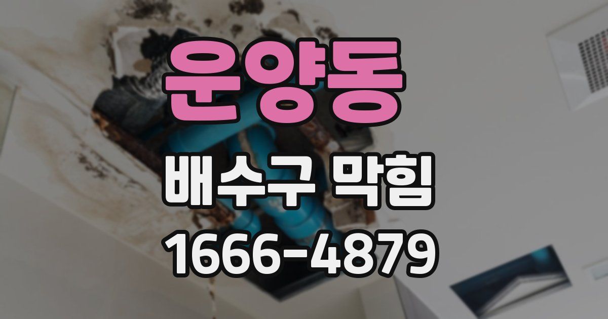 운양동 배수구 막힘