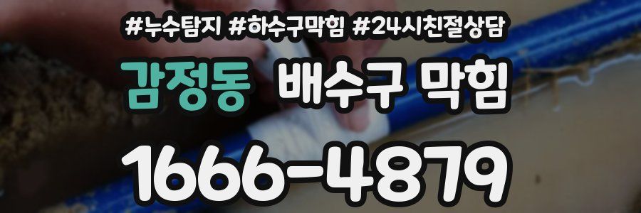 감정동 배수구 막힘
