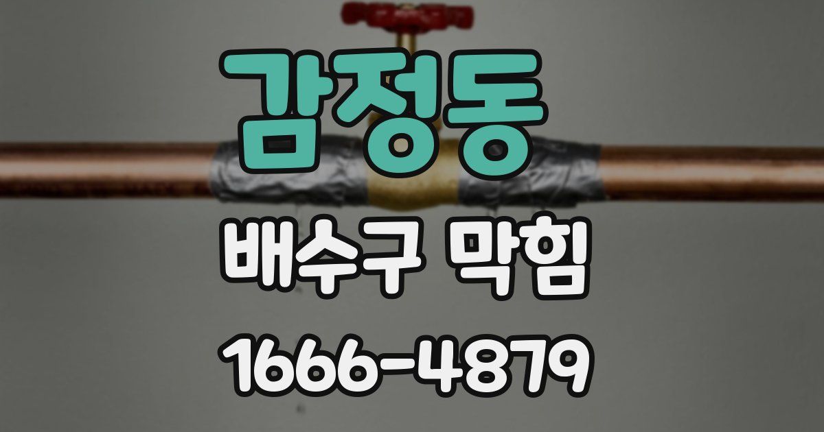 감정동 배수구 막힘