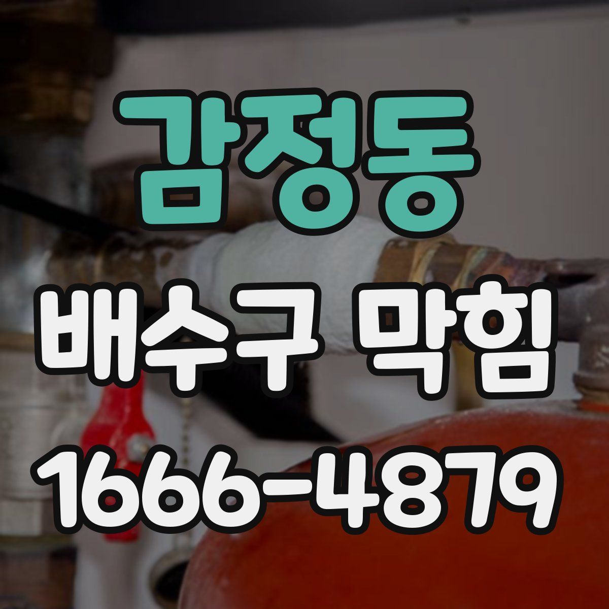 감정동 배수구 막힘