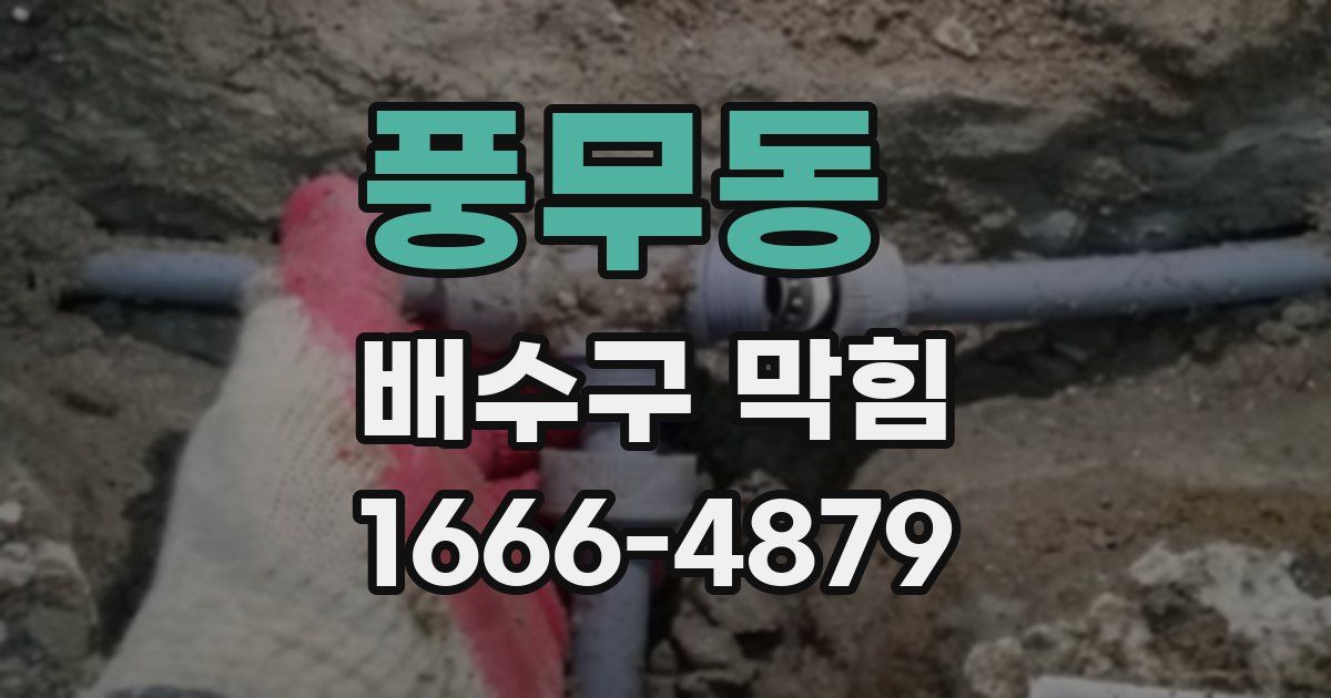 풍무동 배수구 막힘