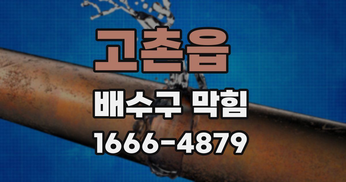 고촌읍 배수구 막힘