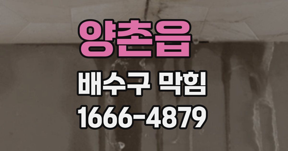 양촌읍 배수구 막힘