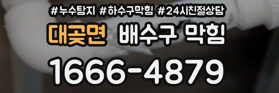 대곶면 배수구 막힘