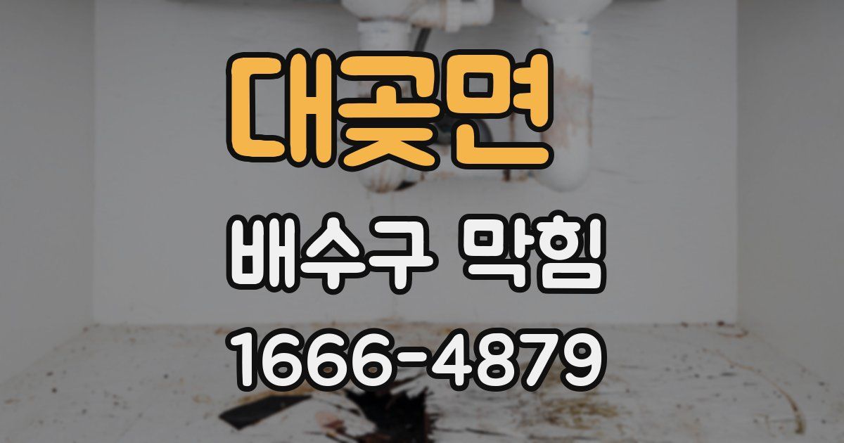 대곶면 배수구 막힘