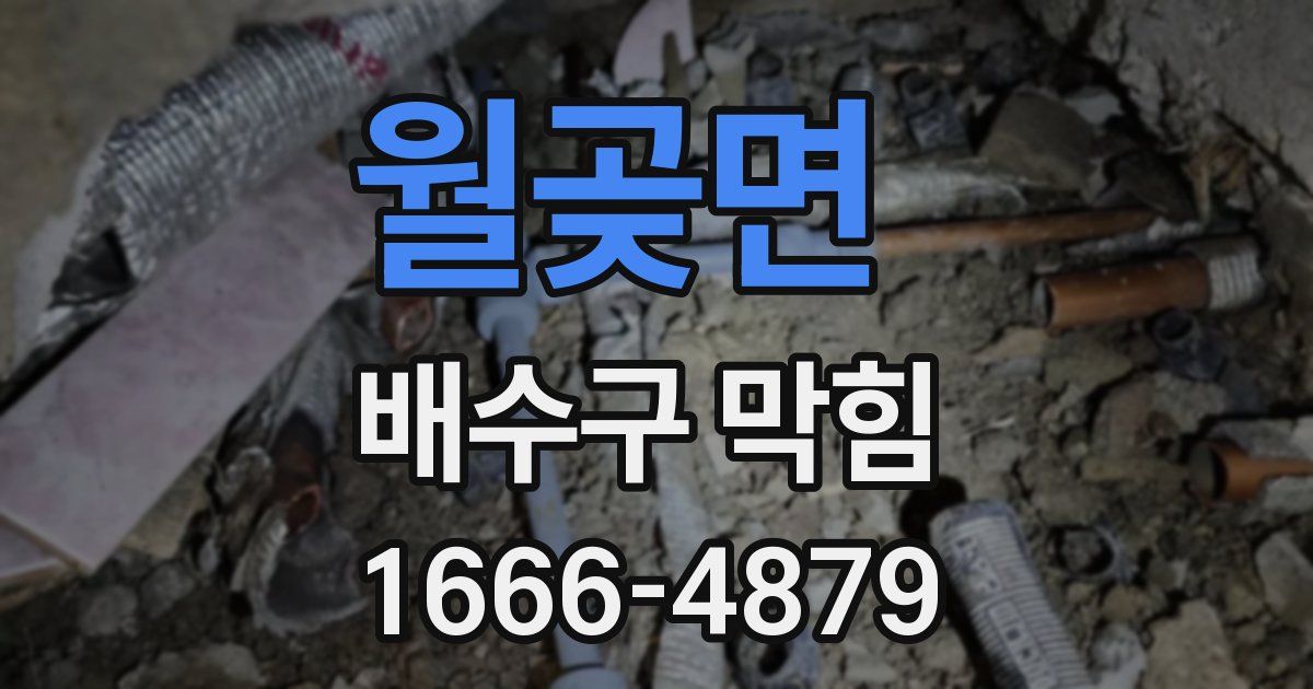 월곶면 배수구 막힘