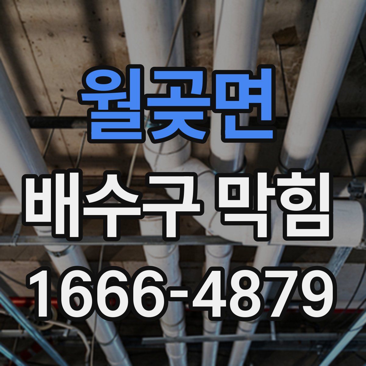 월곶면 배수구 막힘