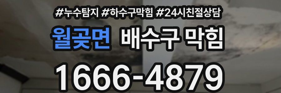 월곶면 배수구 막힘