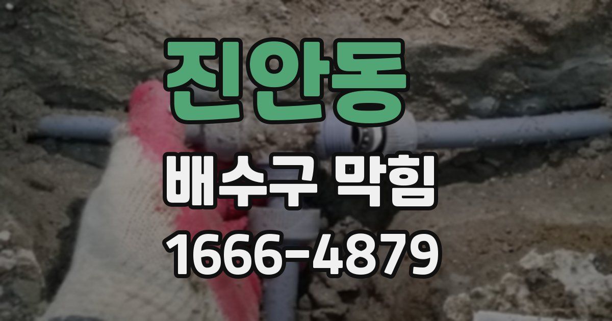진안동 배수구 막힘