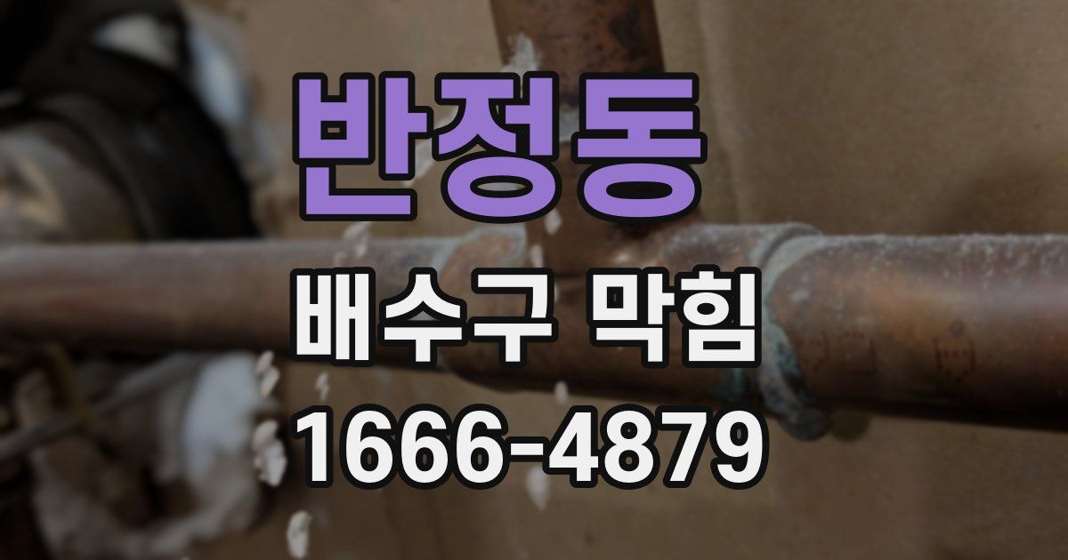 반정동 배수구 막힘
