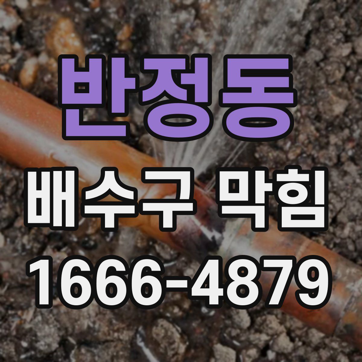 반정동 배수구 막힘