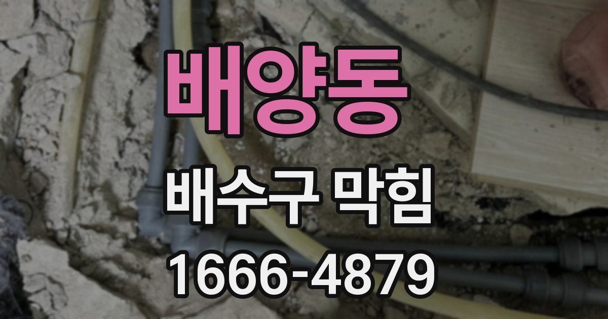배양동 배수구 막힘