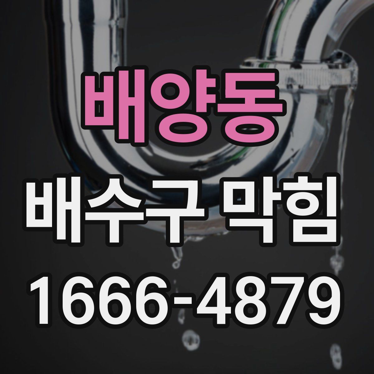 배양동 배수구 막힘