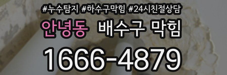 안녕동 배수구 막힘