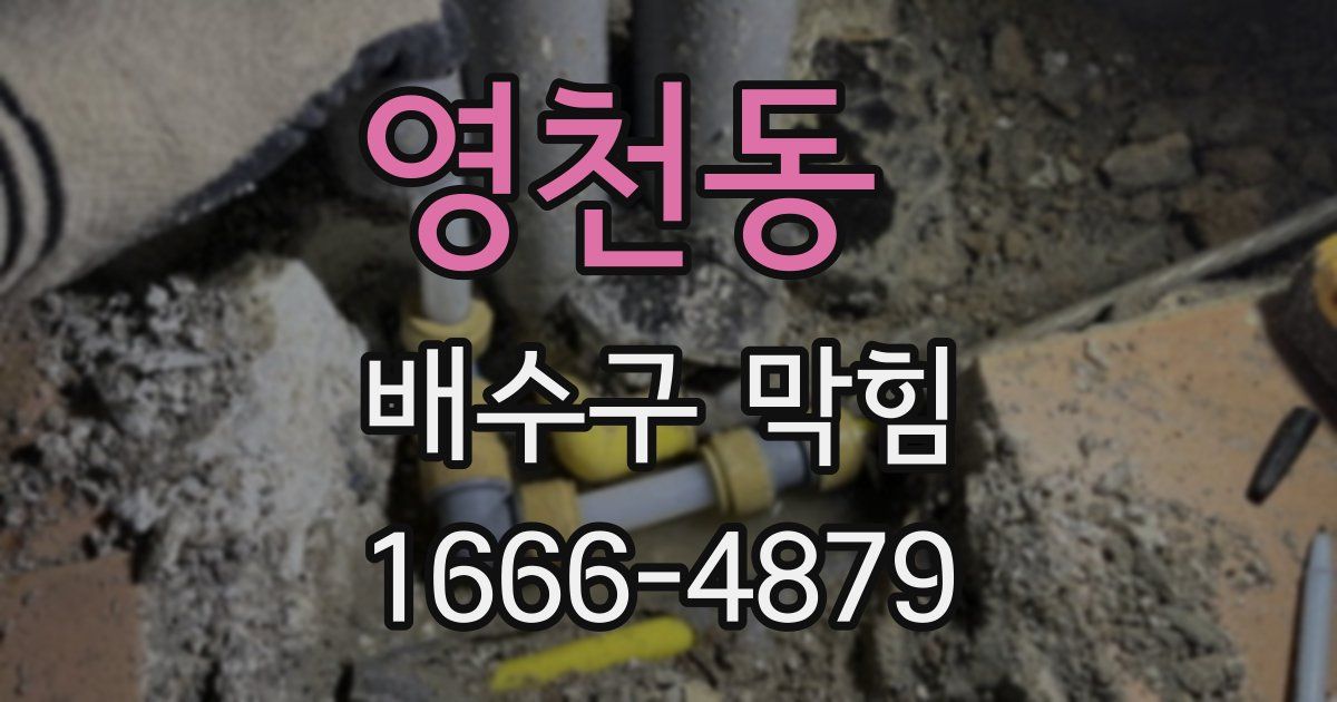 영천동 배수구 막힘