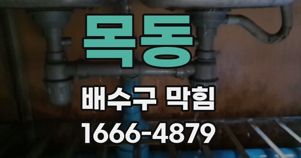 목동 배수구 막힘