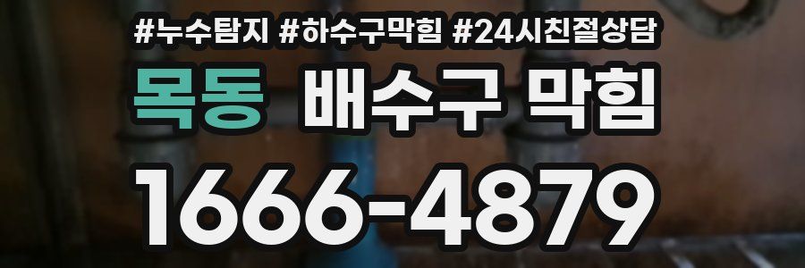 목동 배수구 막힘