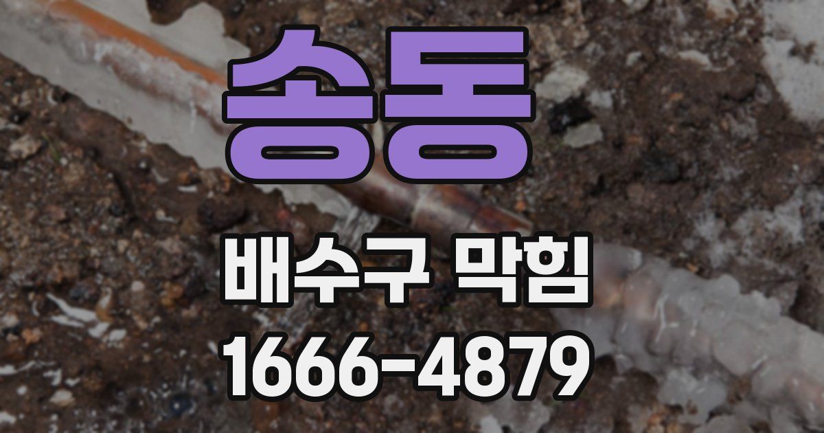 송동 배수구 막힘