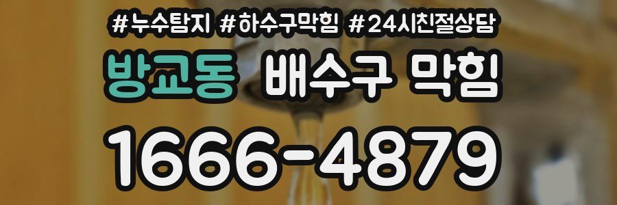 방교동 배수구 막힘