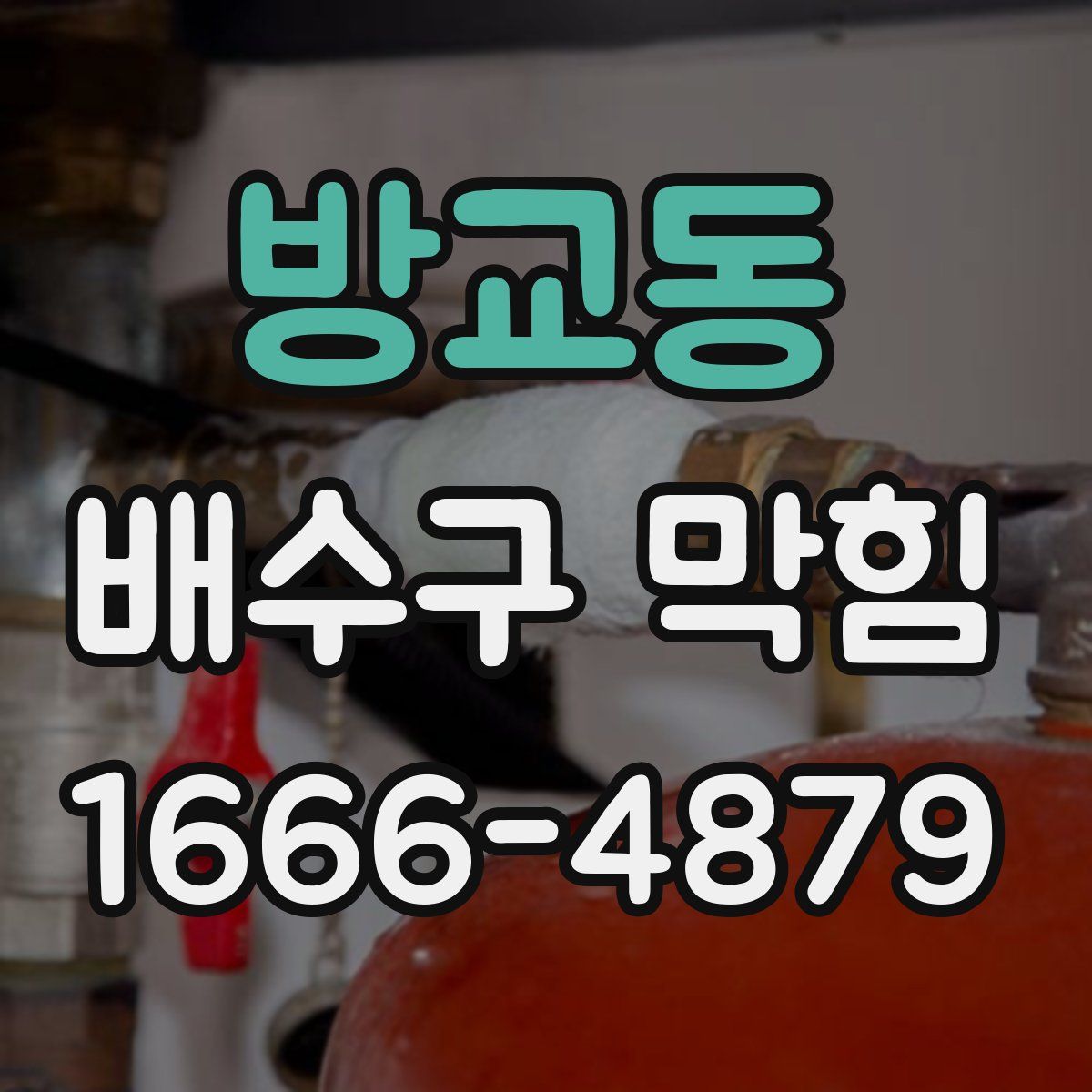 방교동 배수구 막힘