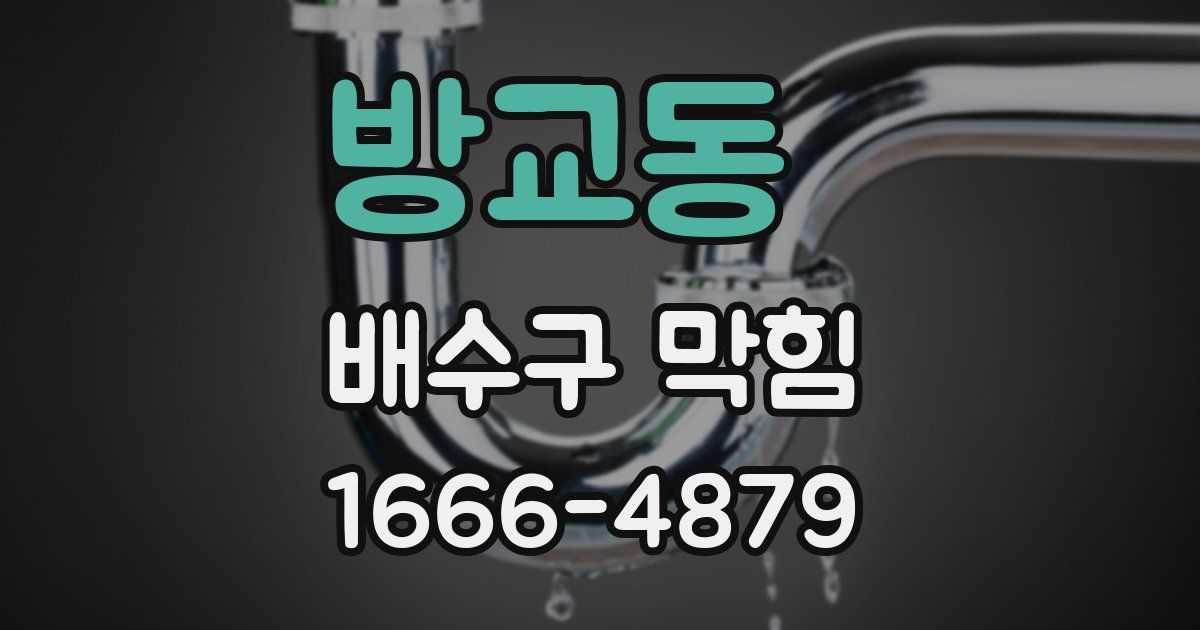 방교동 배수구 막힘
