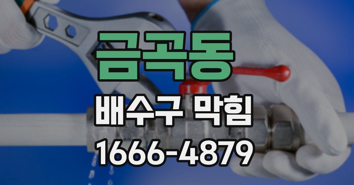 금곡동 배수구 막힘