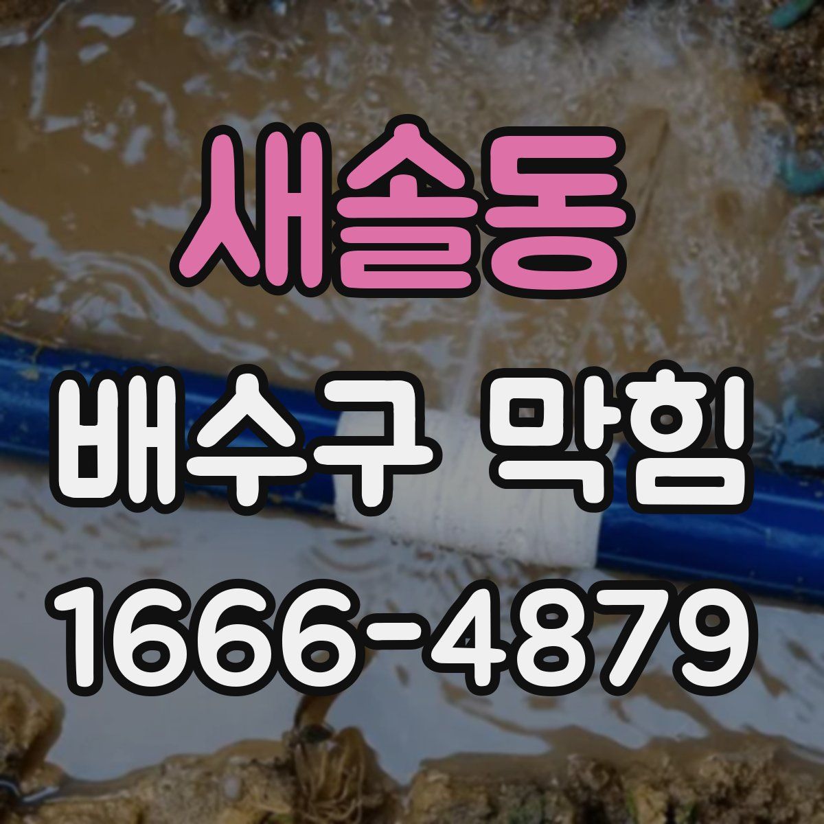 새솔동 배수구 막힘