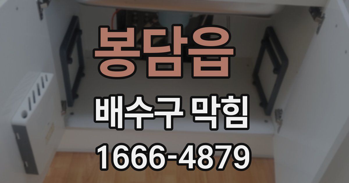 봉담읍 배수구 막힘