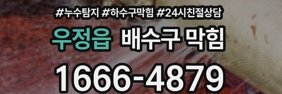 우정읍 배수구 막힘
