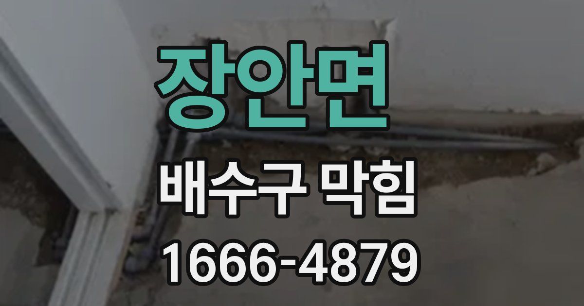 장안면 배수구 막힘