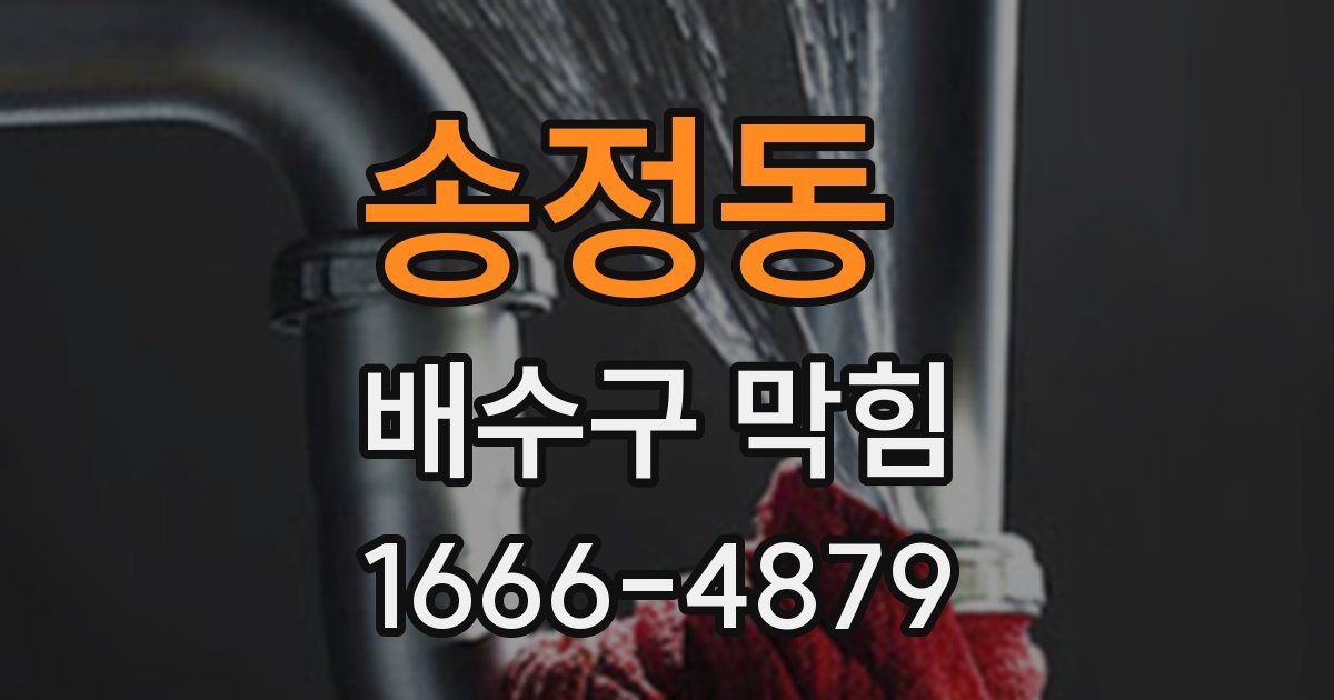 송정동 배수구 막힘