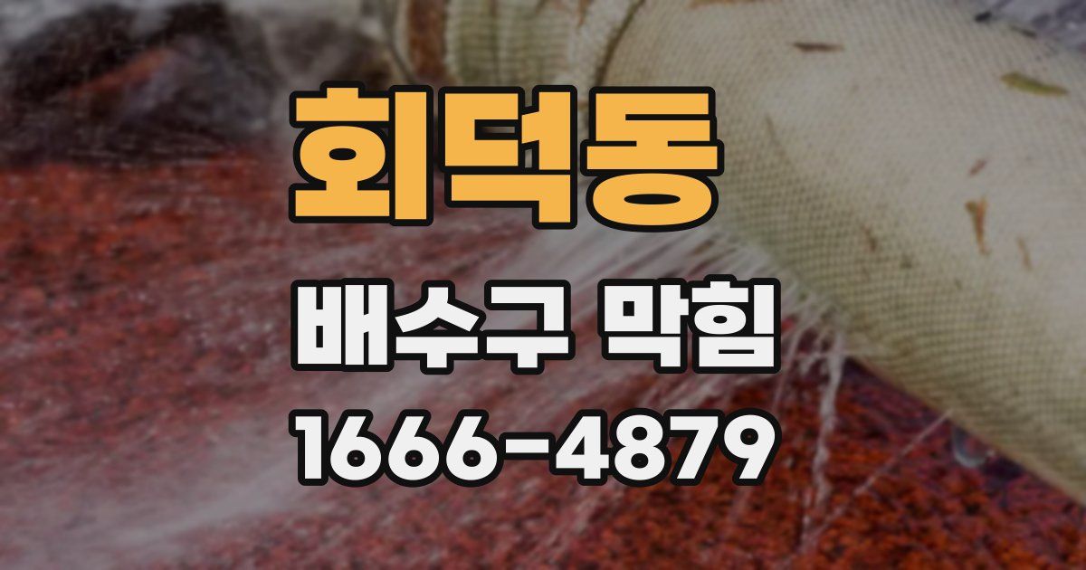 회덕동 배수구 막힘