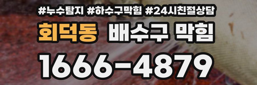 회덕동 배수구 막힘