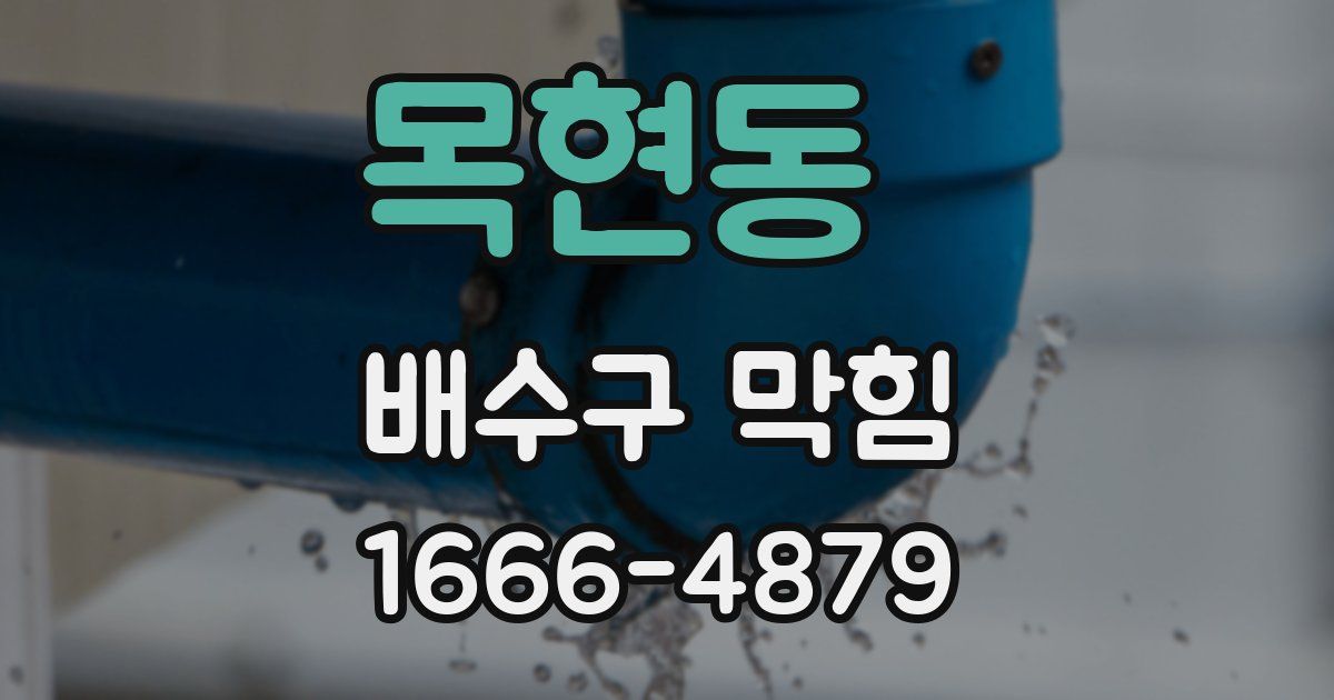 목현동 배수구 막힘
