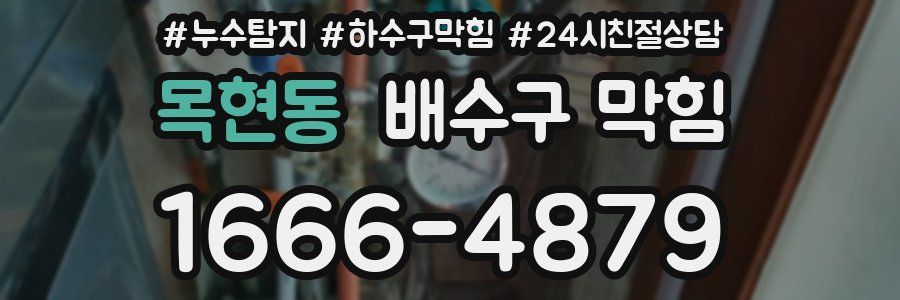 목현동 배수구 막힘