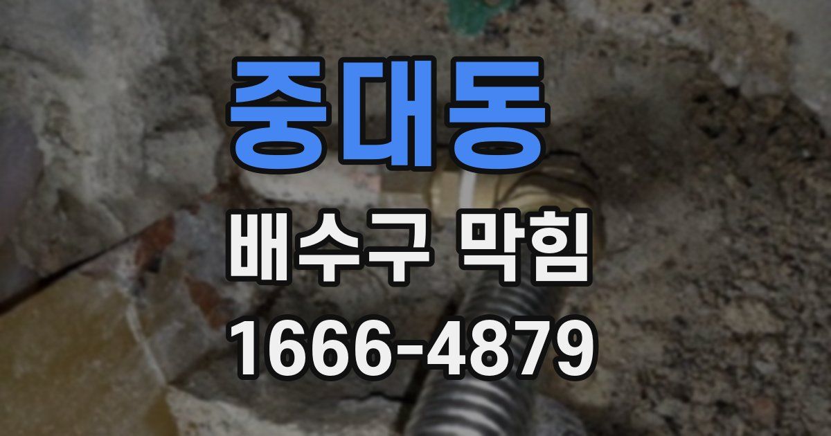 중대동 배수구 막힘