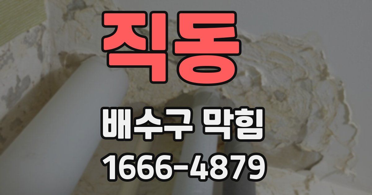 직동 배수구 막힘