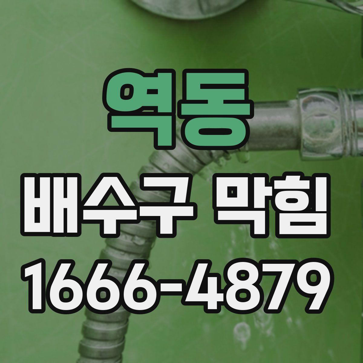 역동 배수구 막힘
