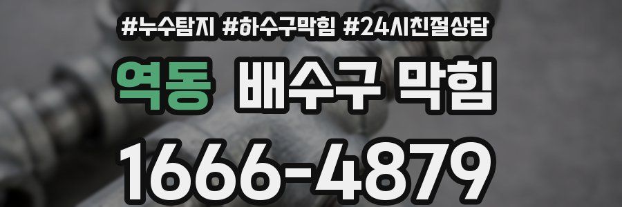 역동 배수구 막힘