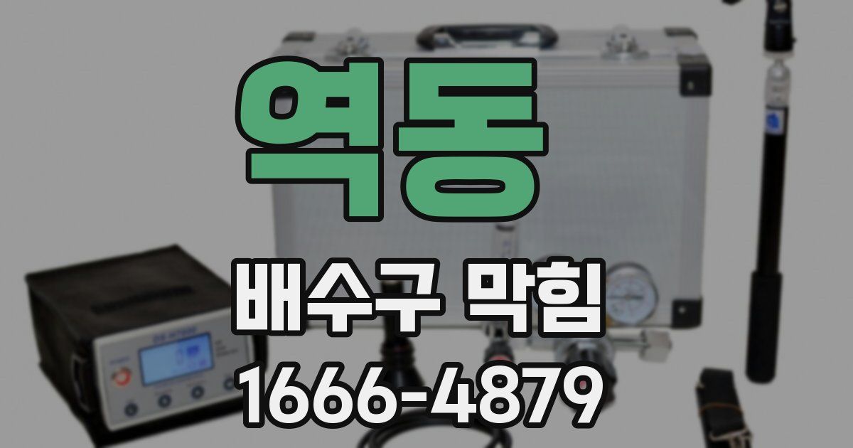 역동 배수구 막힘