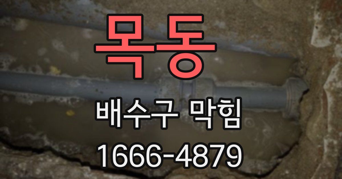 목동 배수구 막힘