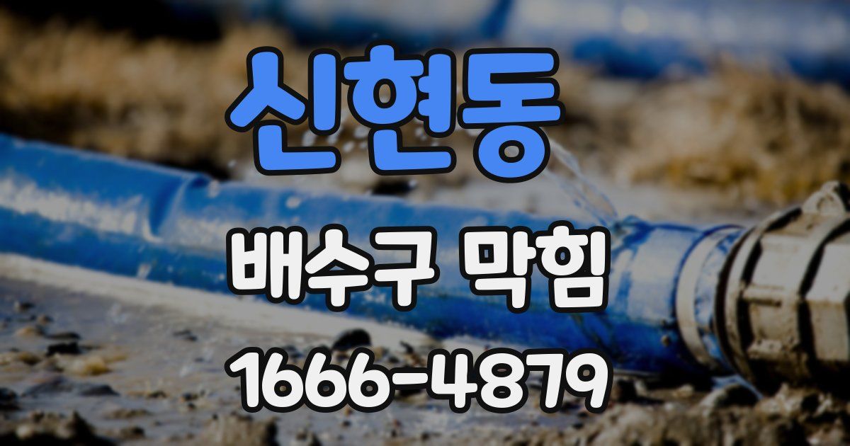 신현동 배수구 막힘